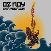 Oz Noy - She's Not There