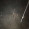 Brain.2 / Lotus - Single