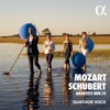 Quatuor Voce - String Quartet No. 15 in G Major, D. 887: III. Scherzo. Allegro vivace - Trio (Allegretto)