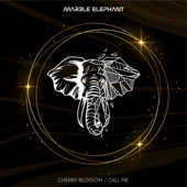 Marble Elephant - Call Me