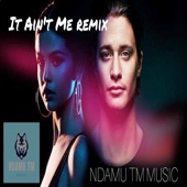 It Ain't Me artwork