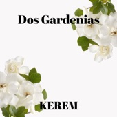 Dos Gardenias (feat. Diego El Cigala) artwork