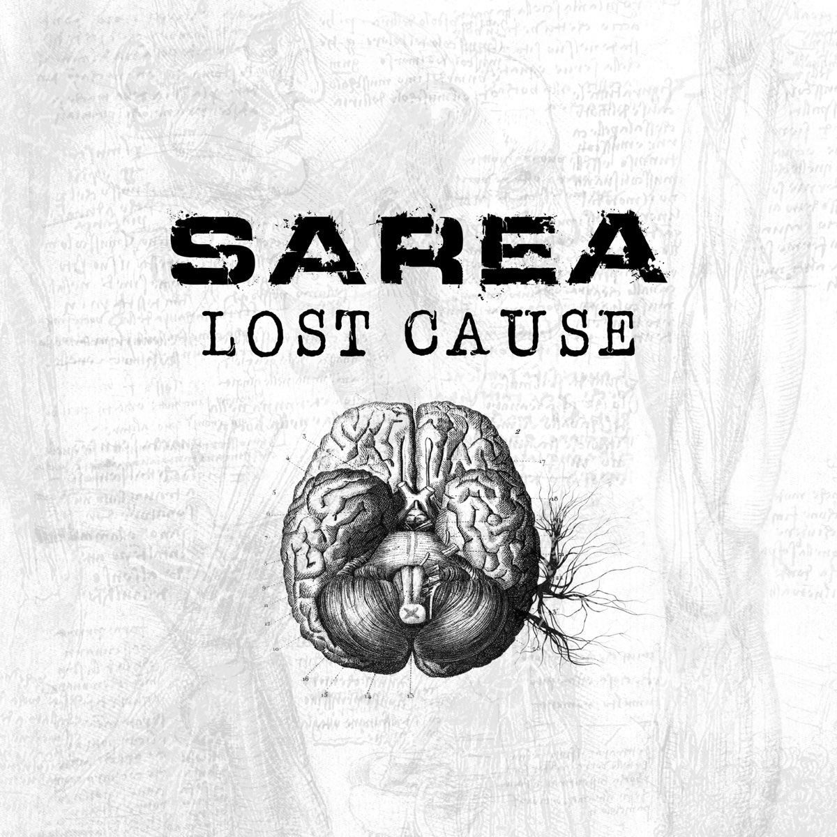 Lost causes. Sarea. Lost cause перевод. Lost cause FNF.