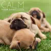 Calm Your Dog: Lullaby for Pets Soft Animal Sleep Music album lyrics, reviews, download