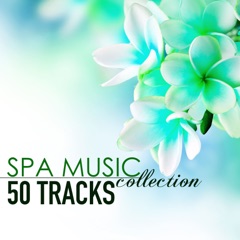 Spa Music Collection - 50 Tracks of Soothing Sounds of Nature for Wellness Centers and Hotel Lounge