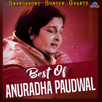 Various Artists - Best of Anuradha Paudwal artwork