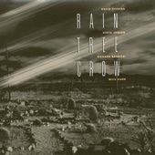 Rain Tree Crow - Blackwater - 2003 - Remaster