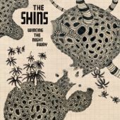 The Shins - A Comet Appears