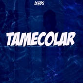 Lords - Tamecolar