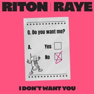 Riton & RAYE - I Don't Want You - Line Dance Musique