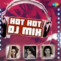 Various Artists - Hot Hot DJ Mix artwork