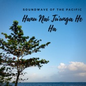 Hanu Nai Tu'unga He Ha artwork