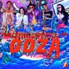 Goza 2.0 (feat. Rich Surprise & WW Flacko) song lyrics