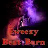 Beat Burn (feat. Eric) - Single album lyrics, reviews, download