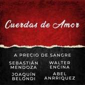 Cuerdas de Amor (feat. Joaquin Belondi & Abel Anrriquez) artwork