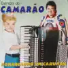 Forrofando em Caruaru album lyrics, reviews, download