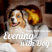 Evening with Dog - Stress Relieving Jazz artwork