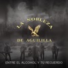 Entre El Alcohol Y Tu Recuerdo - Single
