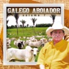 Galego Aboiador, Vol. 7, 2007