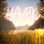 Haven (Remix) artwork