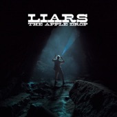 Liars - From What the Never Was