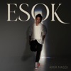 Amir Masdi - Esok