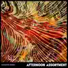 Afternoon Assortment album lyrics, reviews, download