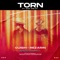 Torn (RAZZ Remix) - REZarin, Cuish & Sam Welch lyrics