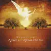 Angel Of Awakening album lyrics, reviews, download