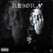 Reborn artwork