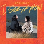 Bachelor, Jay Som & Palehound - I See It Now