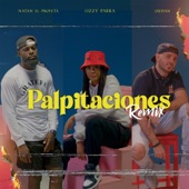 Palpitaciones (Remix) [feat. Natan El Profeta] artwork