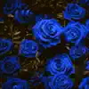 Blue Roses (feat. Bre.Ish) - Single album lyrics, reviews, download
