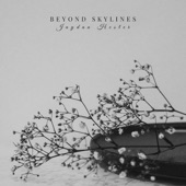Beyond Skylines artwork