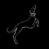 Washing Line - Single