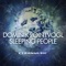 Sleeping People - Dominik Pointvogl lyrics
