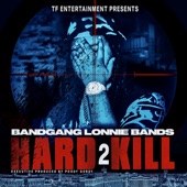 Hard 2 Kill artwork
