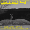 Calvin Harris, Rag’n’Bone Man - Giant artwork