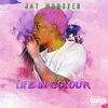 Life in Colour artwork