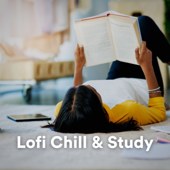 Lofi Chill & Study - Lofi Sleep Chill & Study, Lo Fi Hip Hop & Chill Hip-Hop Beats