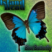 Island Head - Blue Butterfly