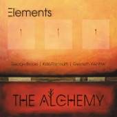 Elements - Traveling Music for Ann (feat. George Brooks, Kala Ramnath & Gwyneth Wentink)