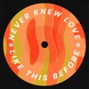 Never Knew Love Like This Before - Single