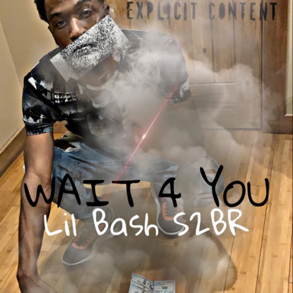 Wait 4 You (feat. Apollo Fresh, Roderick Porter & LunchMoney Lewis) - Single - Lil Bash S2Br