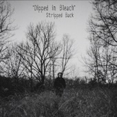 Dipped In Bleach (Stripped Back) artwork