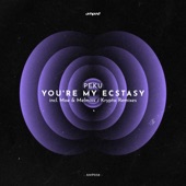 You're My Ecstasy (Moe & Melmixx Remix) artwork