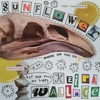 Keira Wallace - Sunflower