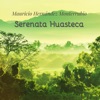 Serenata Huasteca - Single