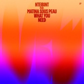 What You Need (feat. Matina Sous Peau) artwork