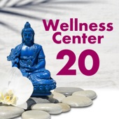 Wellness Center 20 Songs: Spa, Salon, Beauty Parlor, Massage or Health artwork